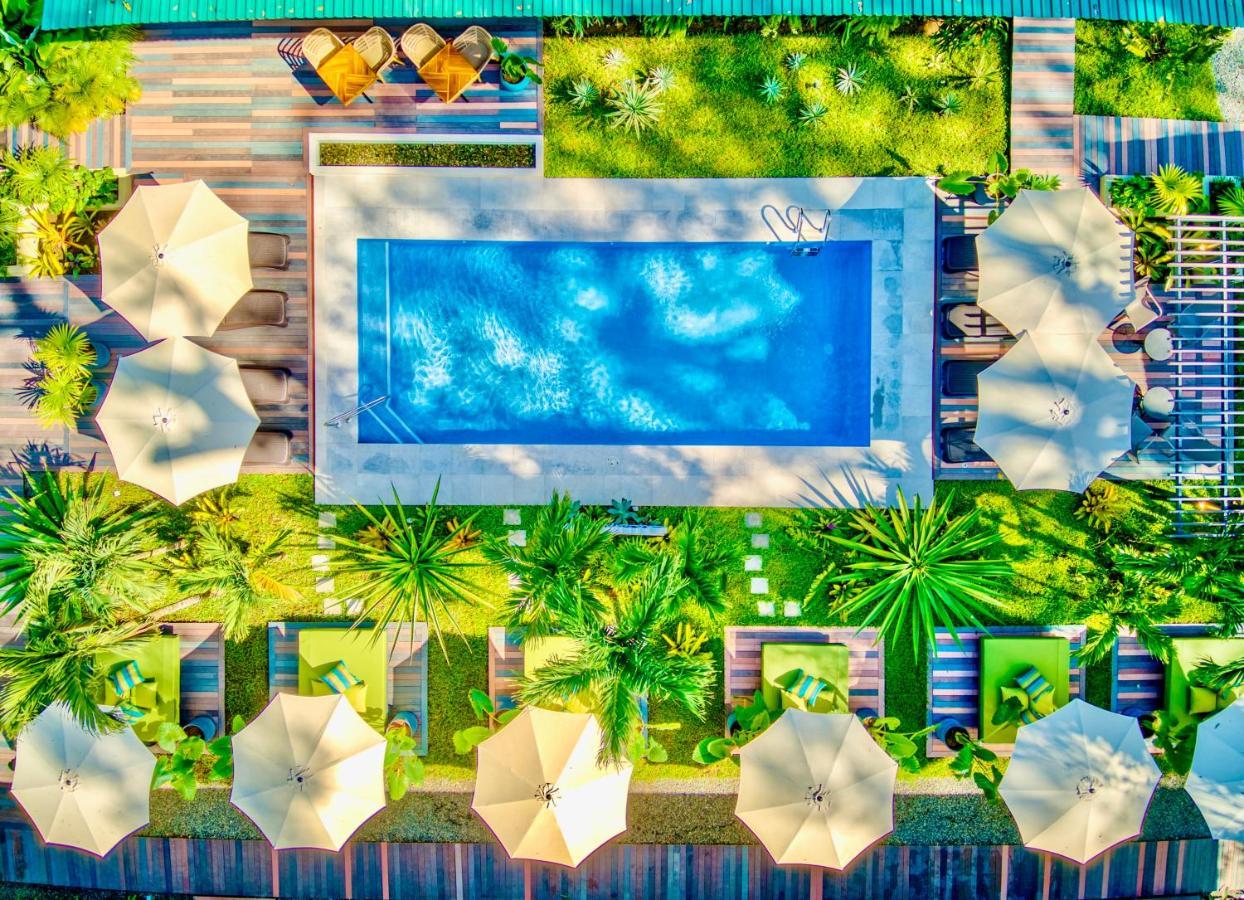 Exotico Beach Hotel Puerto Viejo de Talamanca Bagian luar foto