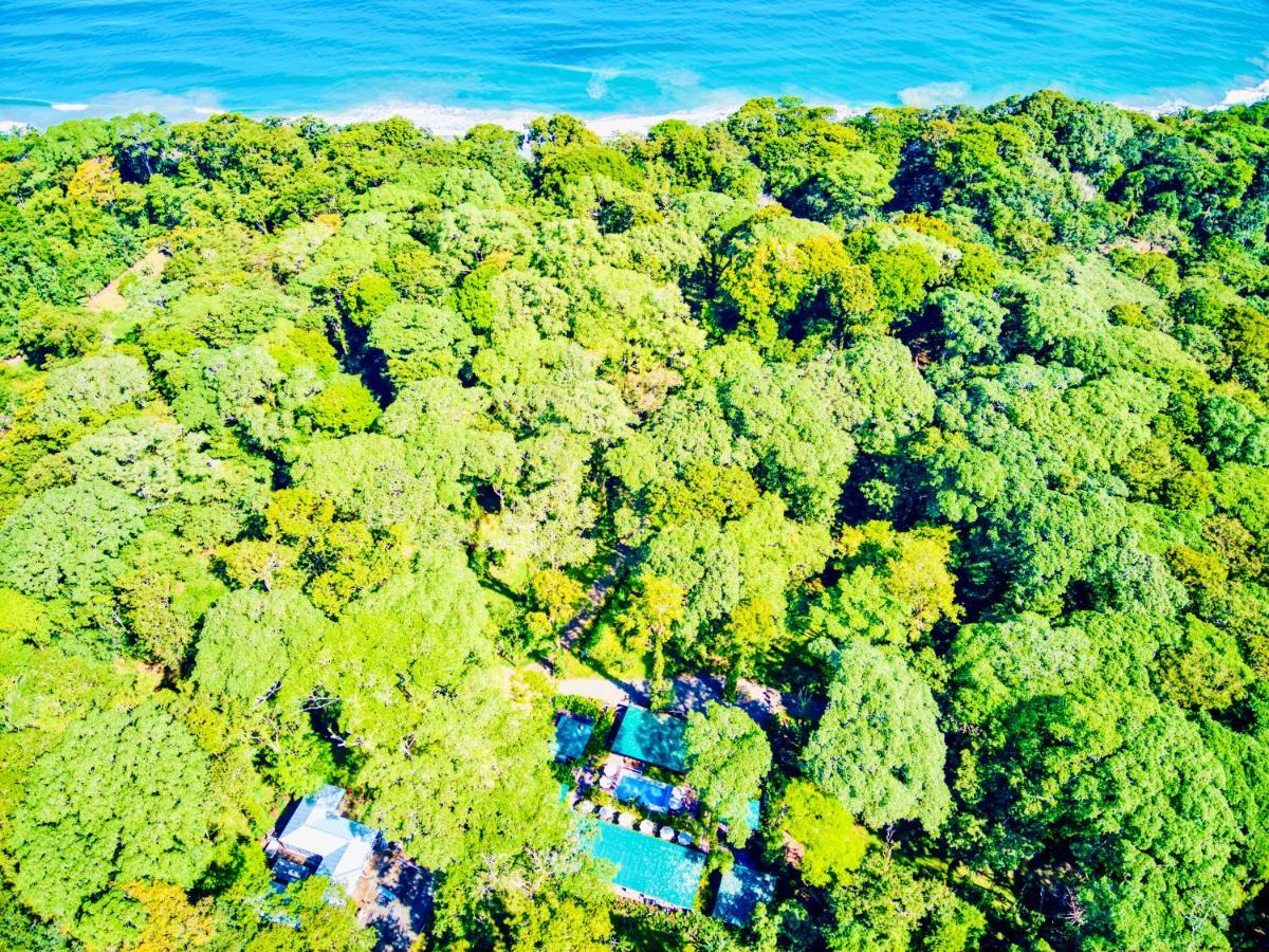 Exotico Beach Hotel Puerto Viejo de Talamanca Bagian luar foto