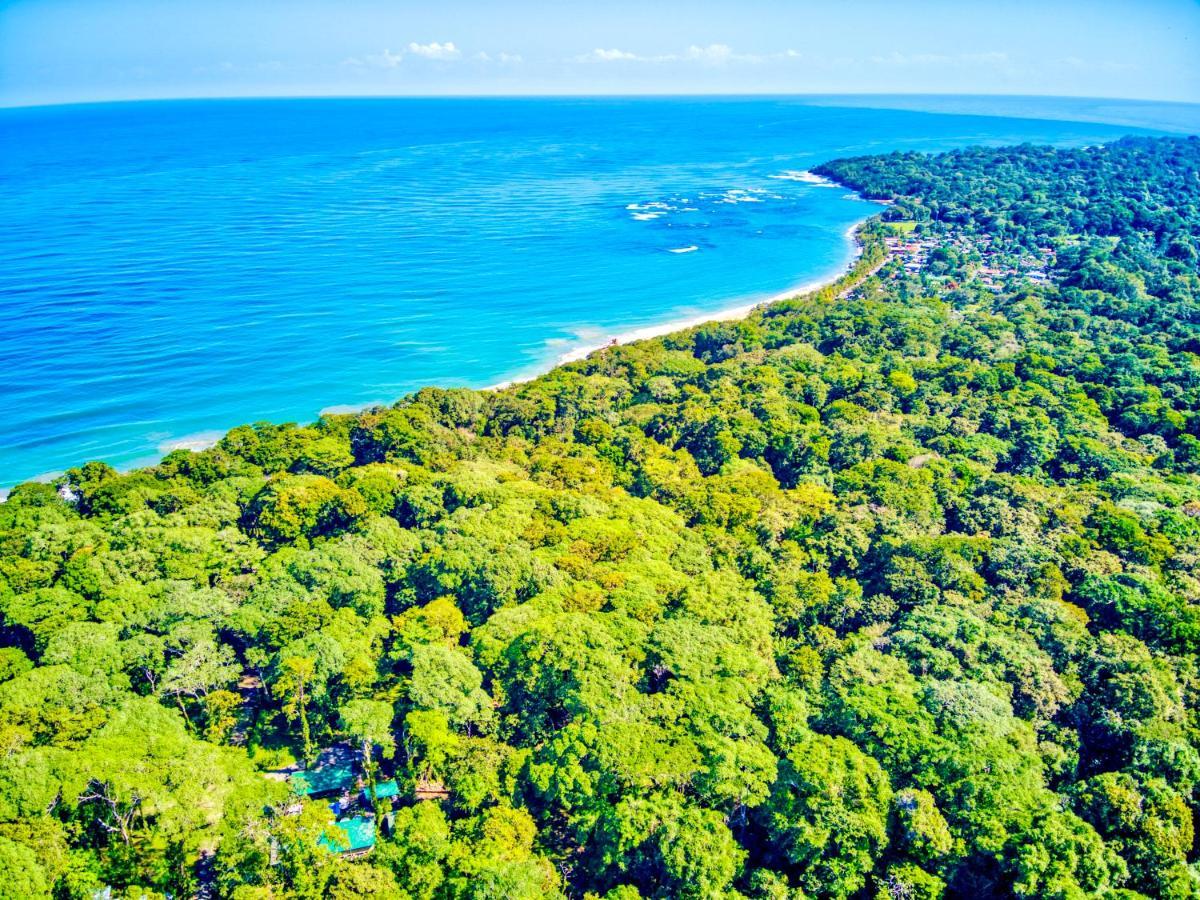 Exotico Beach Hotel Puerto Viejo de Talamanca Bagian luar foto
